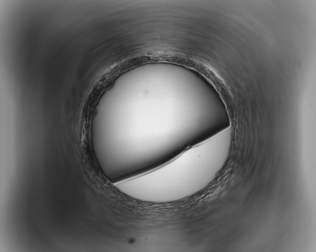 X0000096171016200801180826