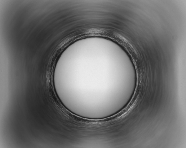 X0000096171017200801180826