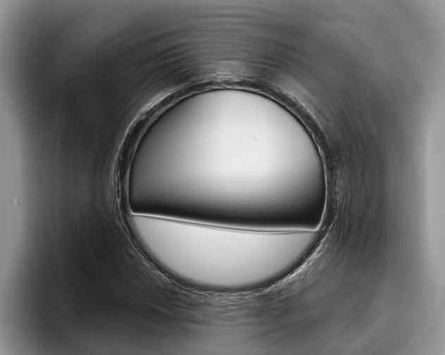 X0000096171018200801180826