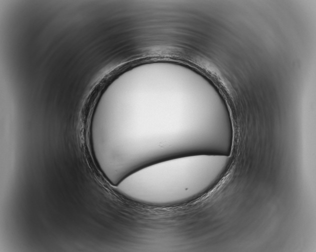 X0000096171019200801180826