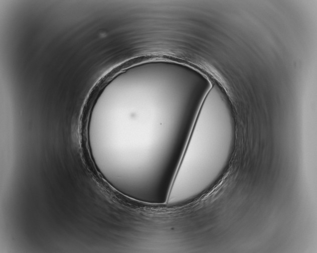 X0000096171020200801180826