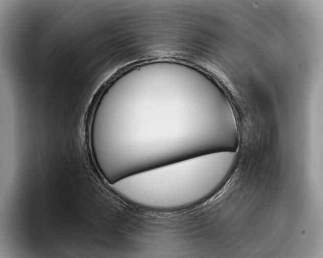 X0000096171023200801180826