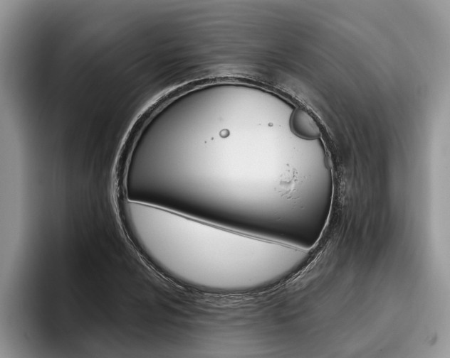 X0000096171024200801180826