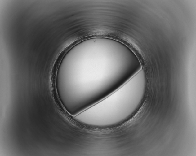 X0000096171026200801180826