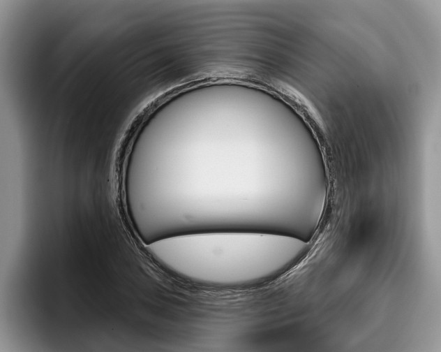 X0000096171027200801180826