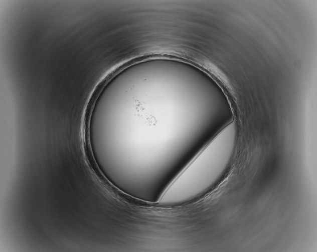 X0000096171028200801180826