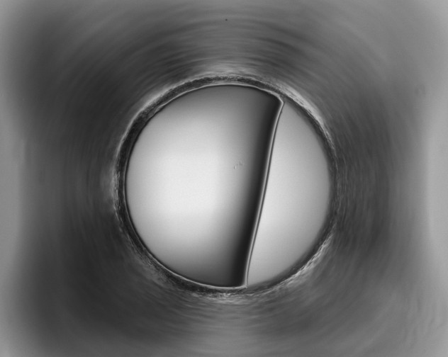 X0000096171029200801180826