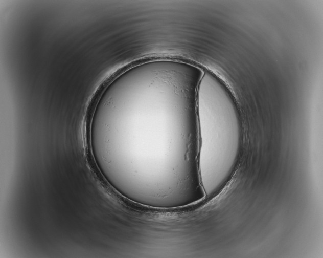 X0000096171030200801180826