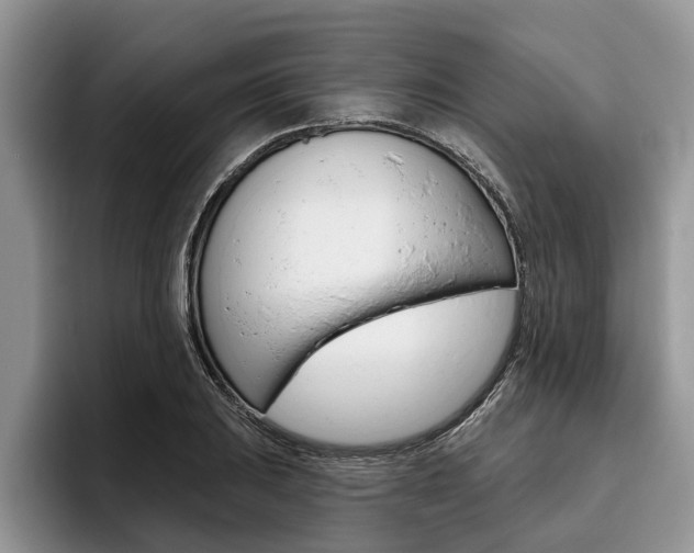 X0000096171031200801180826
