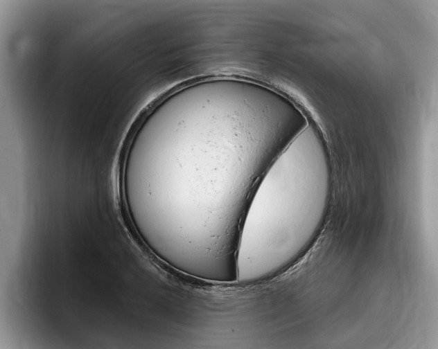 X0000096171032200801180826
