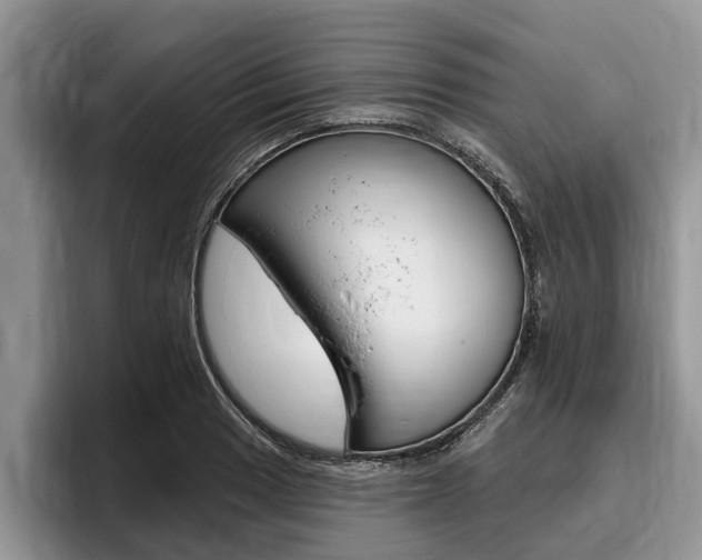 X0000096171033200801180826