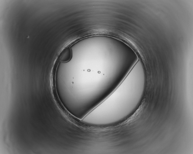 X0000096171034200801180826