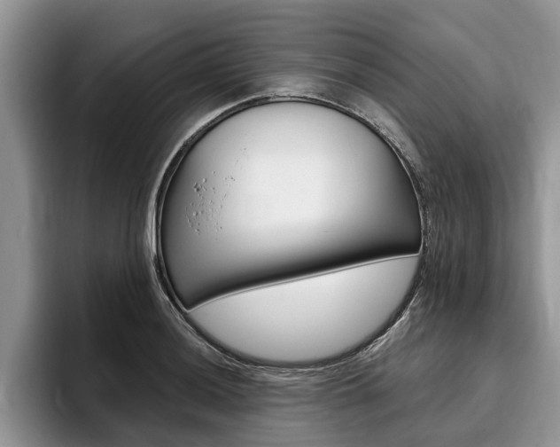 X0000096171036200801180826