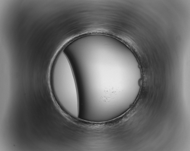 X0000096171038200801180826