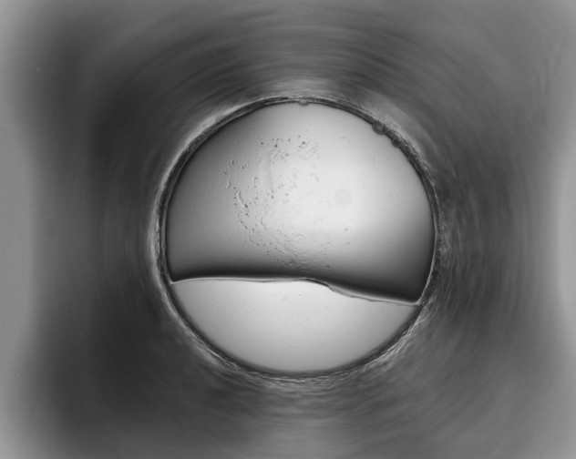 X0000096171040200801180826