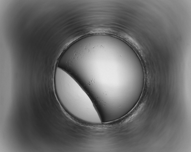 X0000096171041200801180826