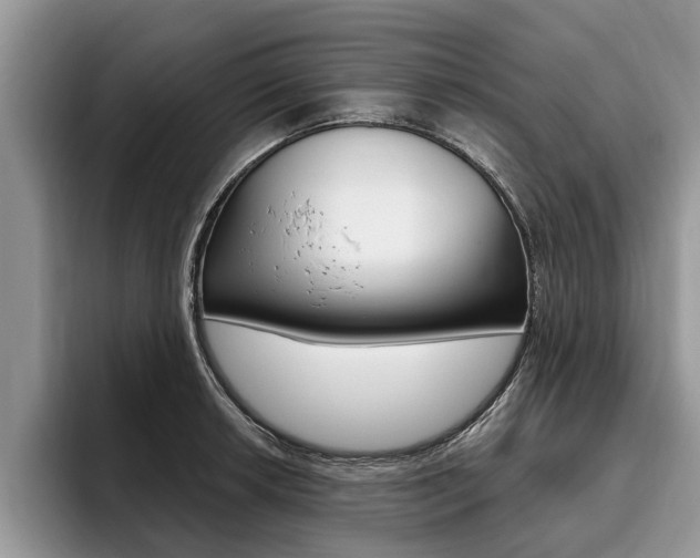 X0000096171042200801180826