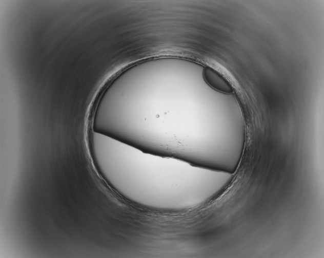 X0000096171043200801180826