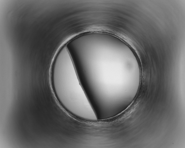 X0000096171045200801180826