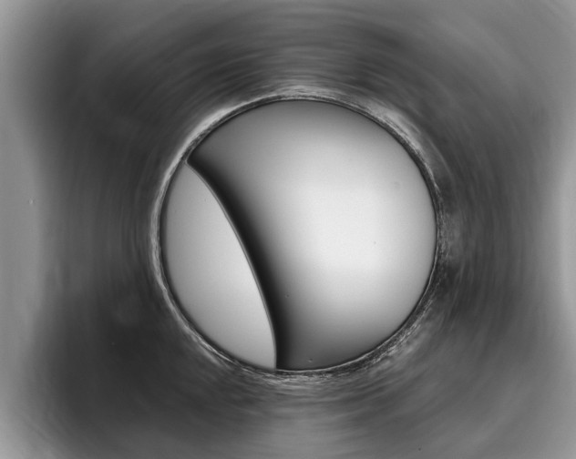 X0000096171048200801180826