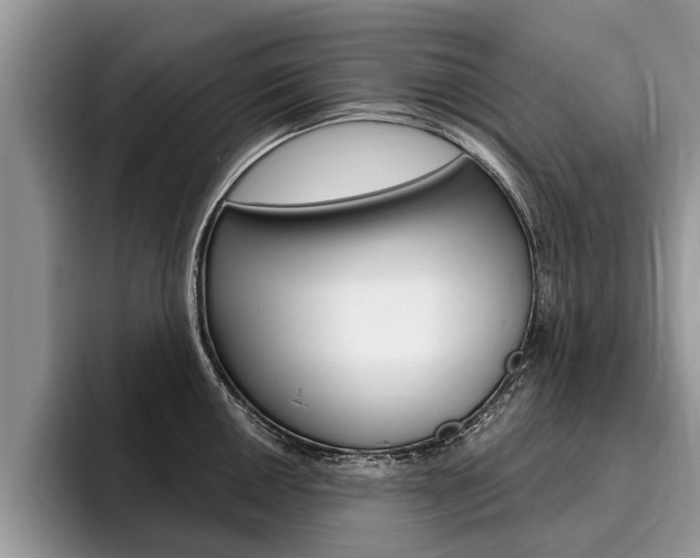 X0000096171050200801180826
