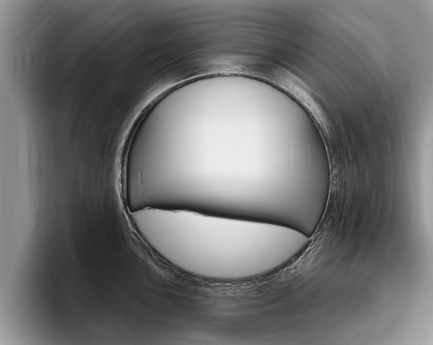 X0000096171051200801180826