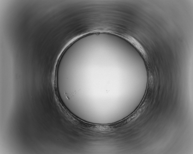 X0000096171052200801180826