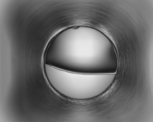 X0000096171053200801180826
