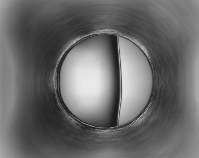 X0000096171054200801180826