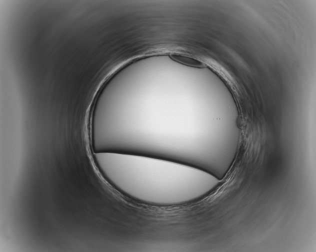 X0000096171055200801180826
