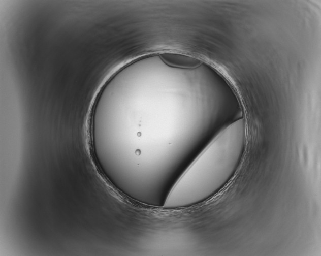 X0000096171056200801180826