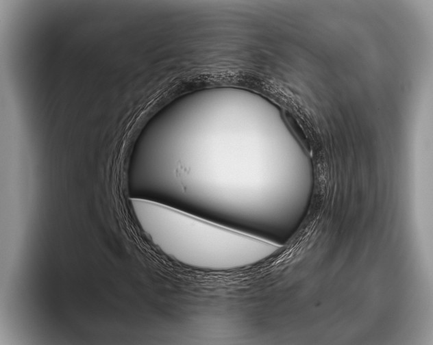 X0000096171057200801180826