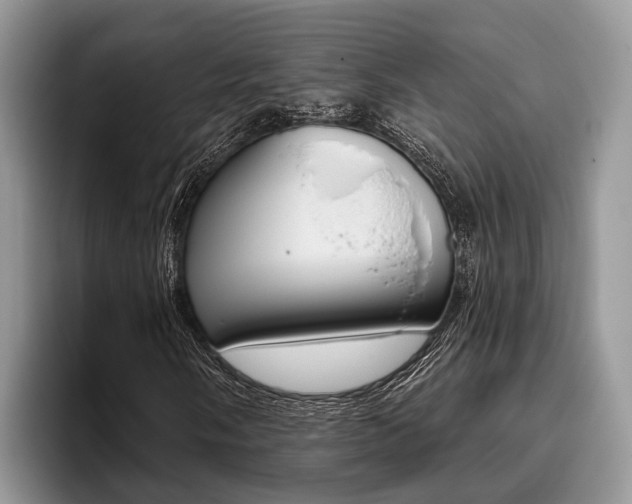X0000096171058200801180826