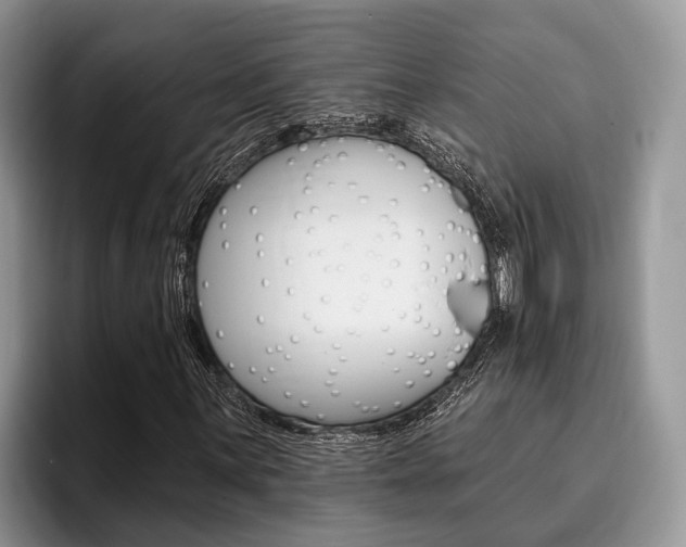 X0000096171059200801180826