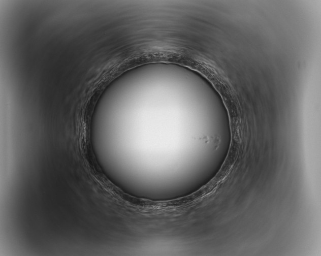 X0000096171061200801180825