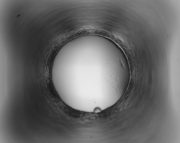 X0000096171062200801180825