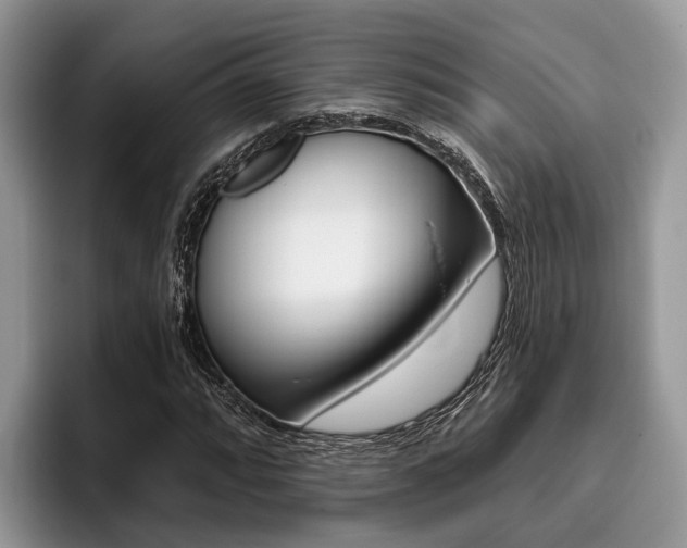 X0000096171064200801180825