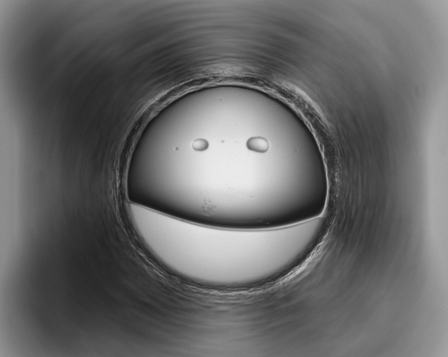 X0000096171065200801180825