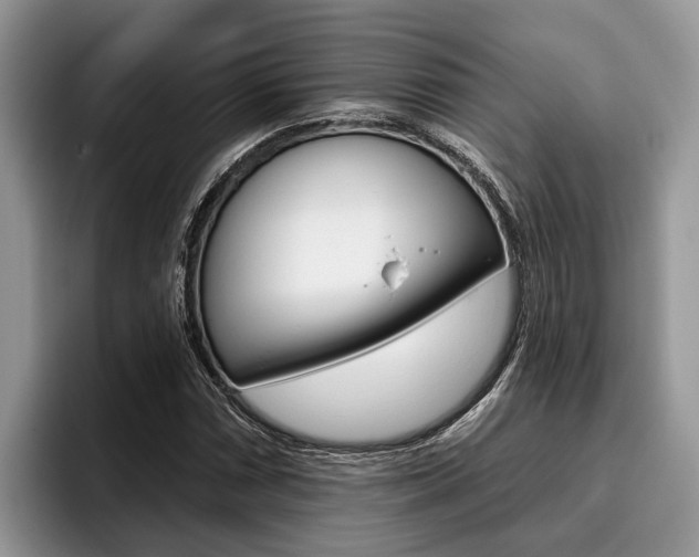X0000096171066200801180825
