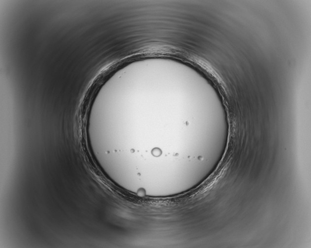 X0000096171067200801180825