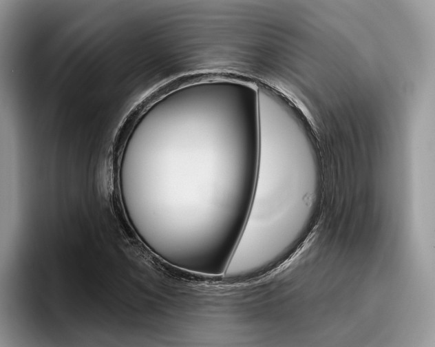 X0000096171069200801180825