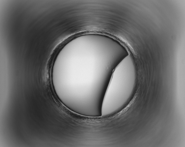 X0000096171070200801180825