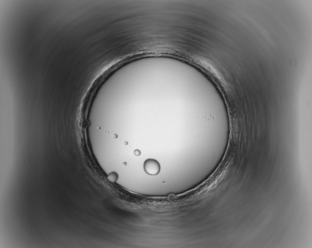 X0000096171071200801180825