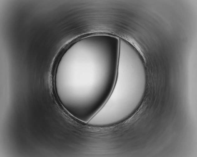 X0000096171072200801180825