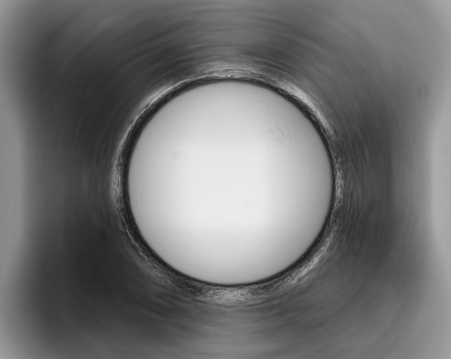 X0000096171074200801180825