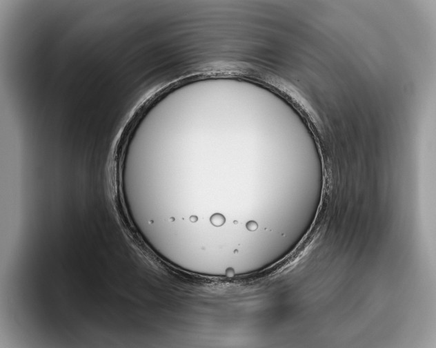 X0000096171075200801180825