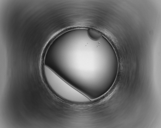 X0000096171077200801180825