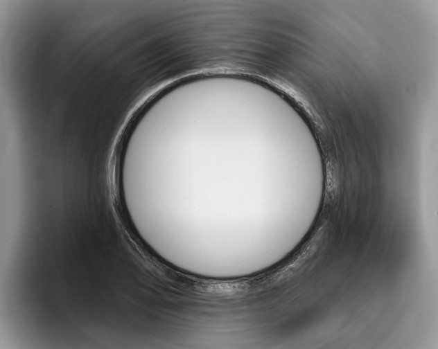 X0000096171078200801180825
