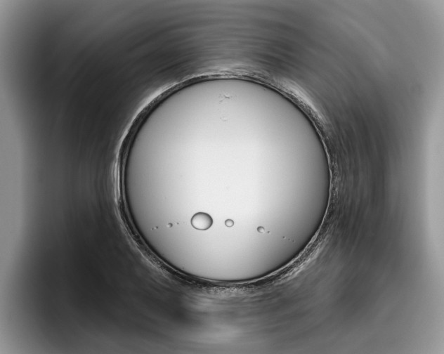 X0000096171079200801180825