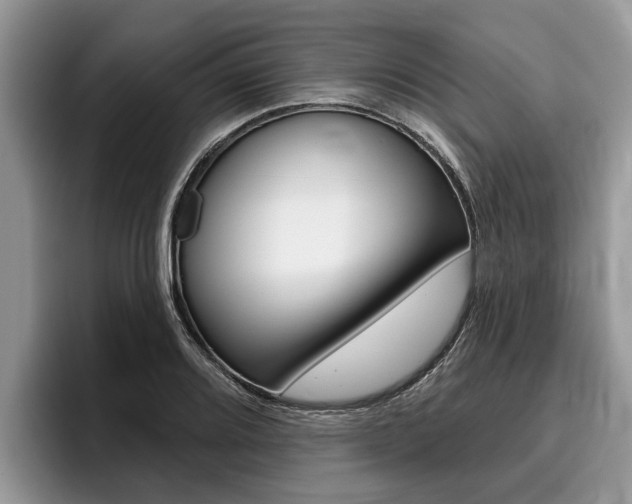 X0000096171080200801180825